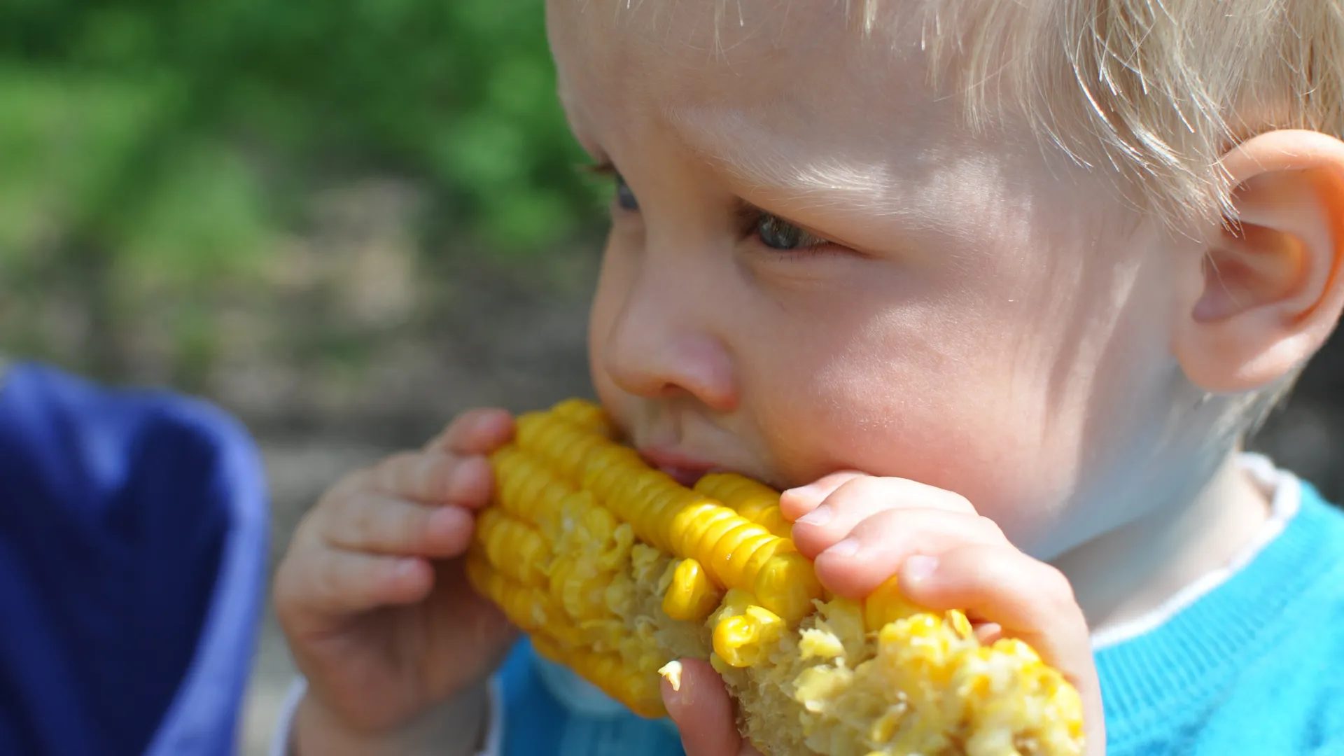 とうもろこしを食べる子供