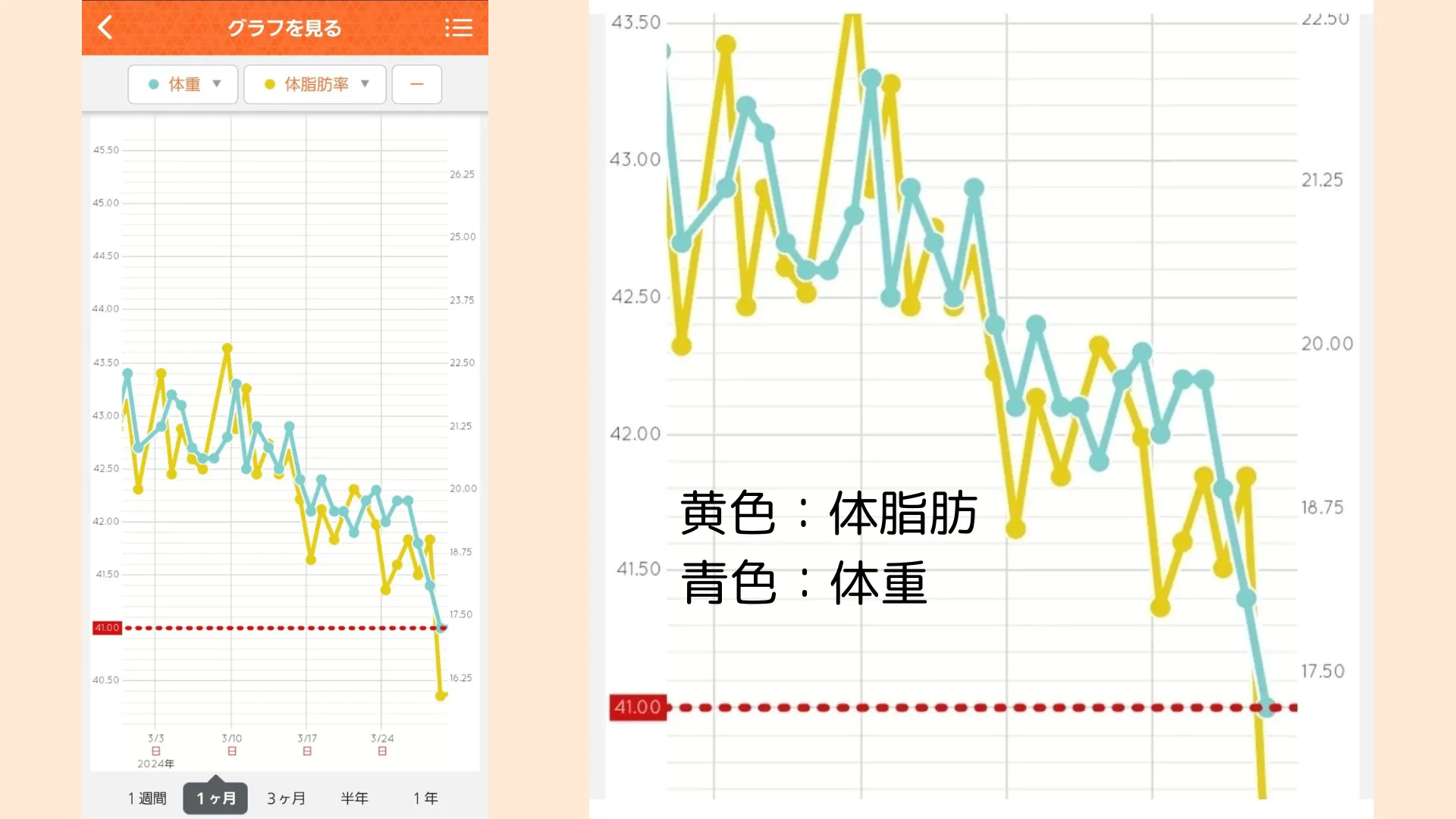 1ヶ月間16時間断食を行なった時の体重・体脂肪の推移